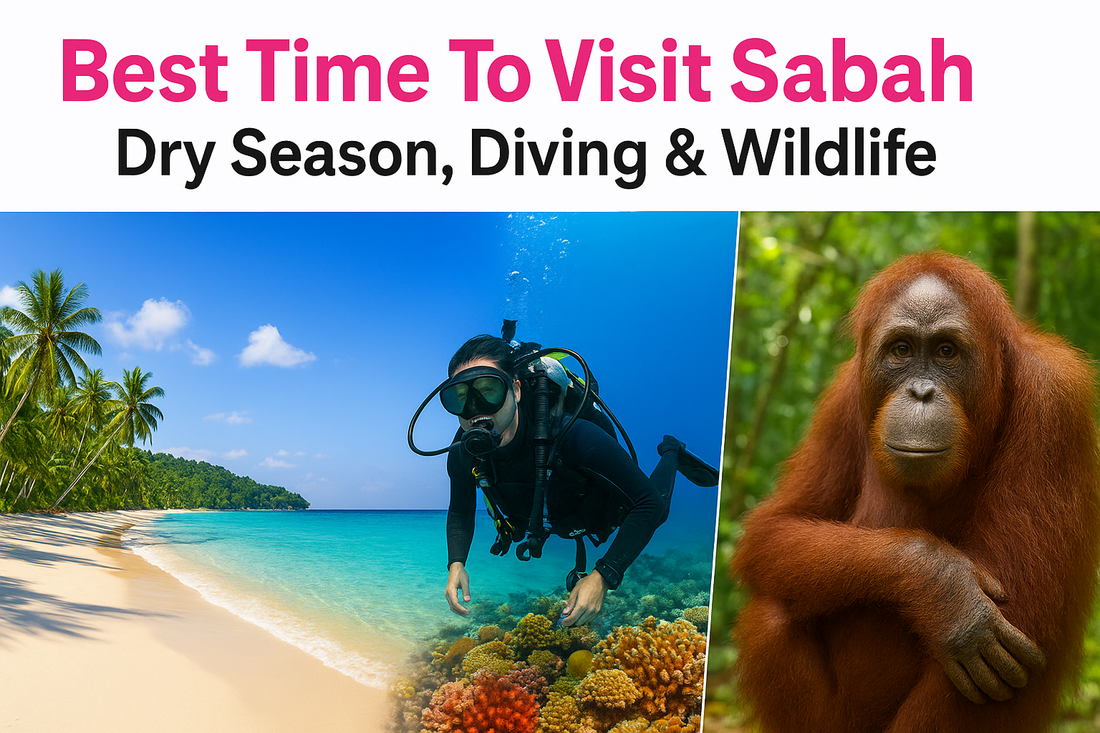 Best Time To Visit Sabah: Dry Season, Diving & Wildlife